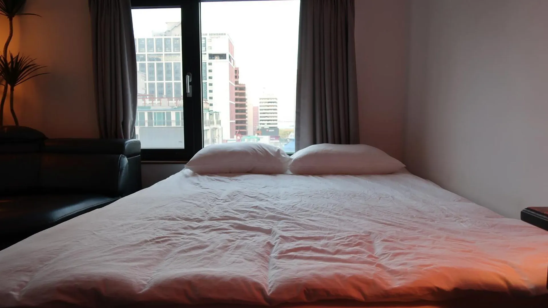 公寓 Catnap Guesthouse 釜山