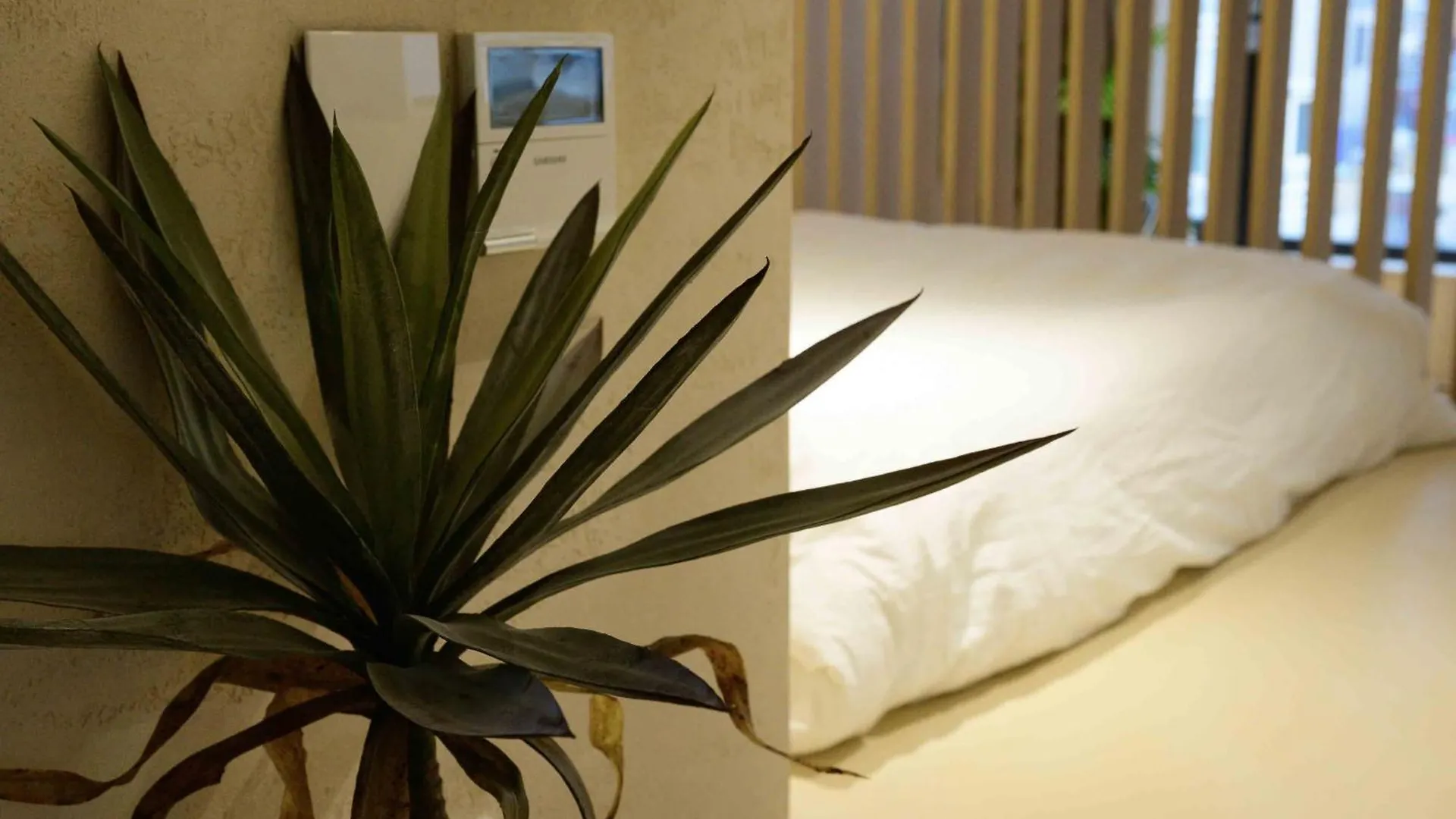 Apartment Catnap Guesthouse Busan