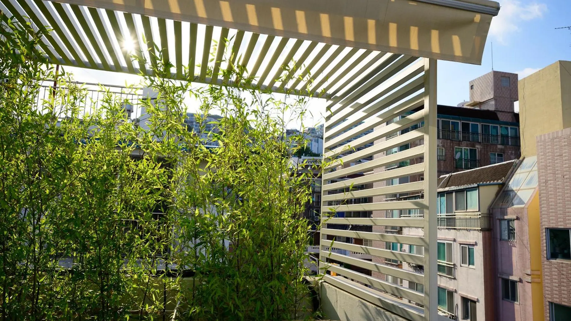 Catnap Guesthouse Busan