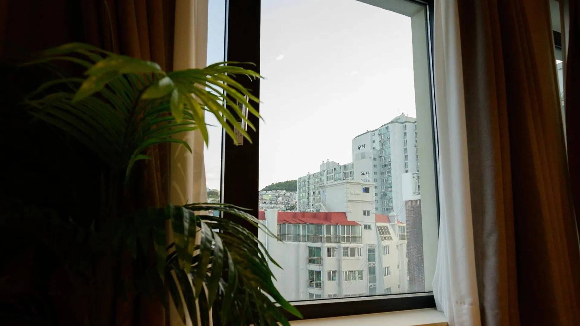 Catnap Guesthouse Busan