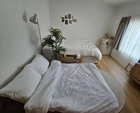 Apartment Catnap Guesthouse Busan