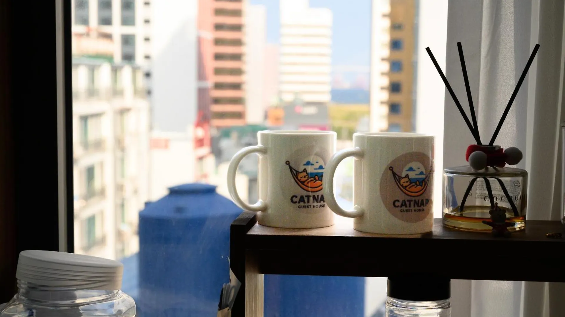 Catnap Guesthouse Busan South Korea