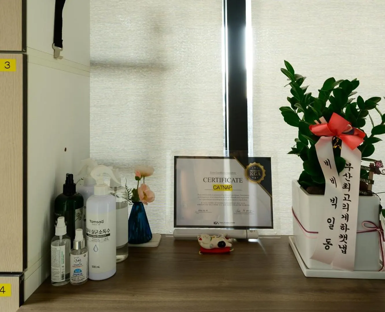 Apartment Catnap Guesthouse Busan