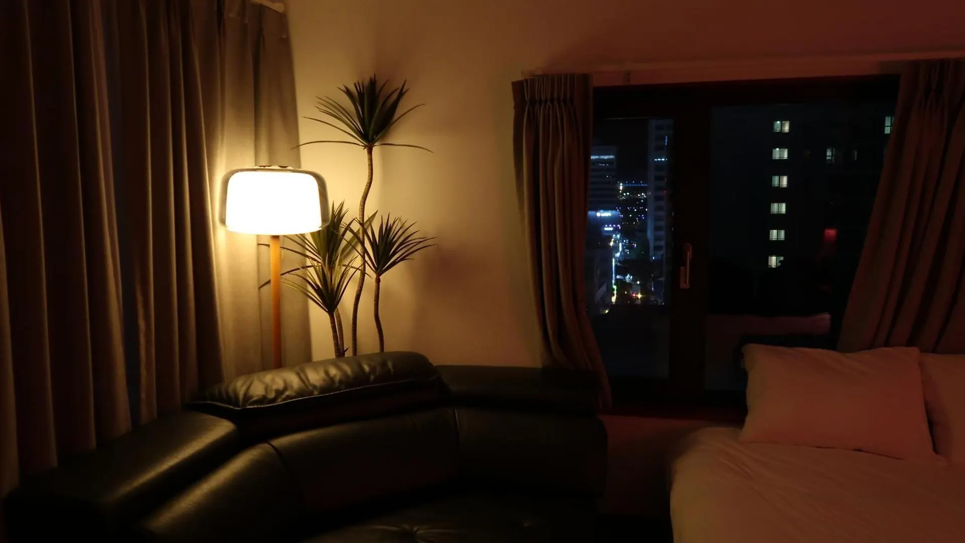 Catnap Guesthouse Busan South Korea