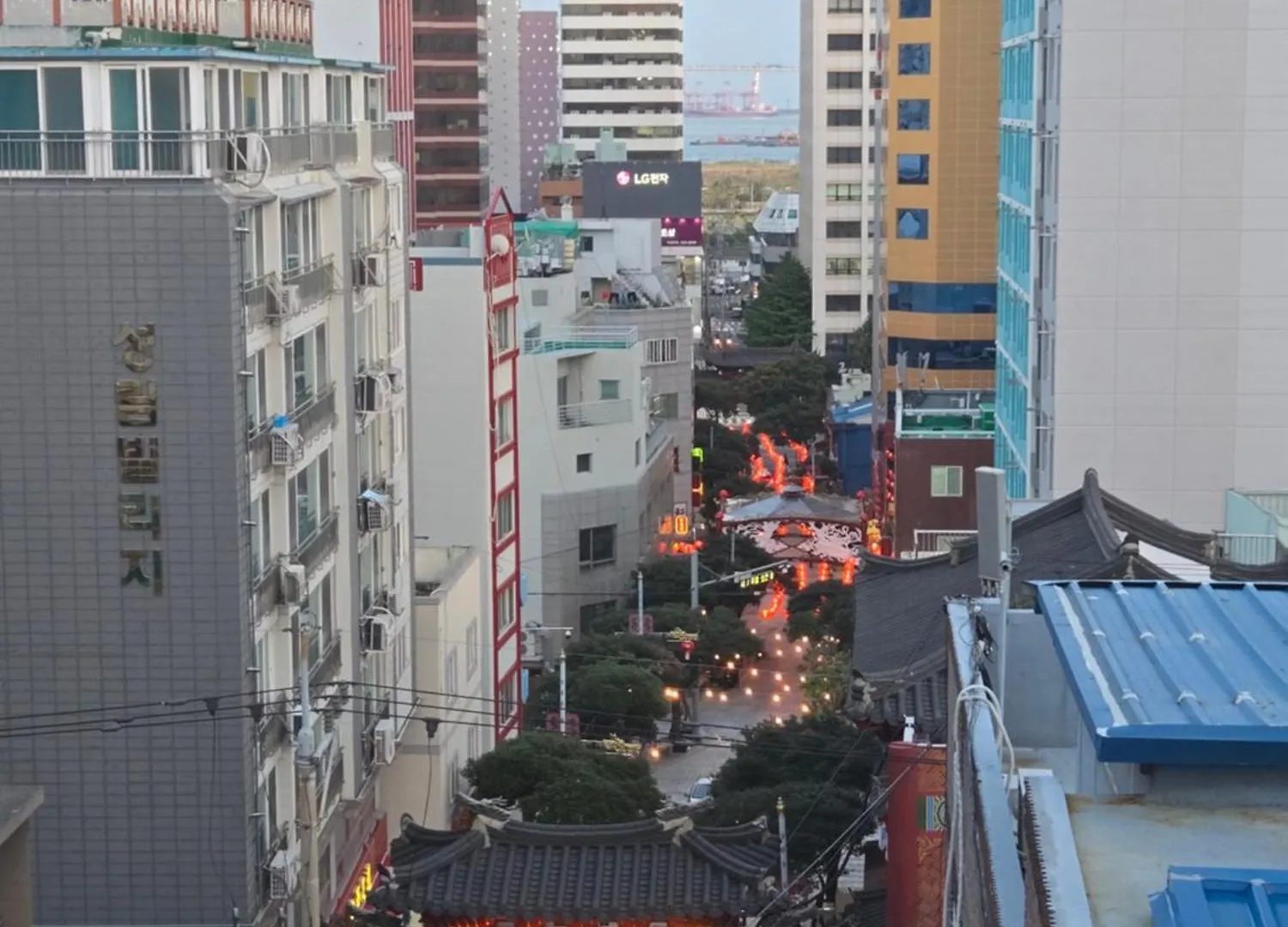 Catnap Guesthouse Busan South Korea